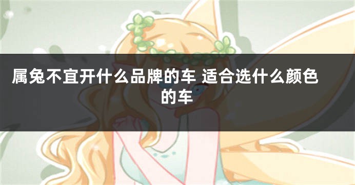 属兔不宜开什么品牌的车 适合选什么颜色的车