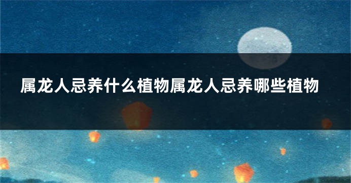 属龙人忌养什么植物属龙人忌养哪些植物