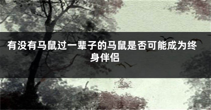 有没有马鼠过一辈子的马鼠是否可能成为终身伴侣