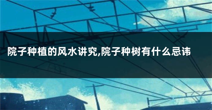 院子种植的风水讲究,院子种树有什么忌讳