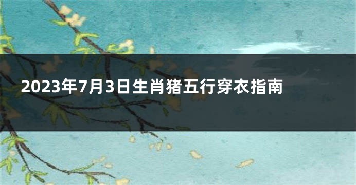 2023年7月3日生肖猪五行穿衣指南