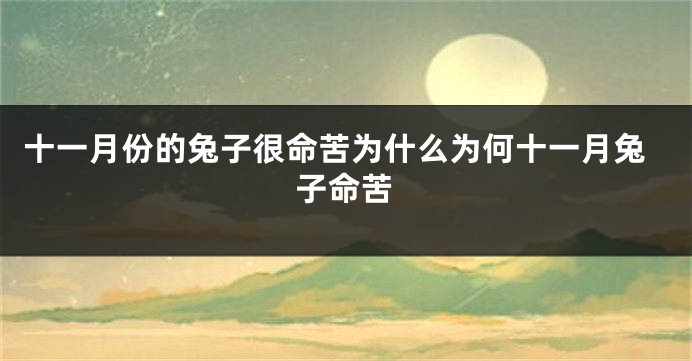 十一月份的兔子很命苦为什么为何十一月兔子命苦