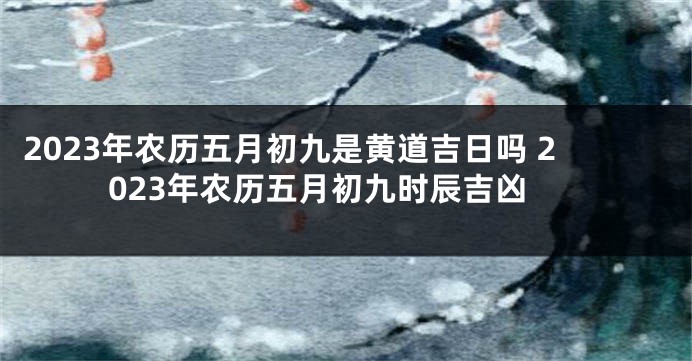 2023年农历五月初九是黄道吉日吗 2023年农历五月初九时辰吉凶