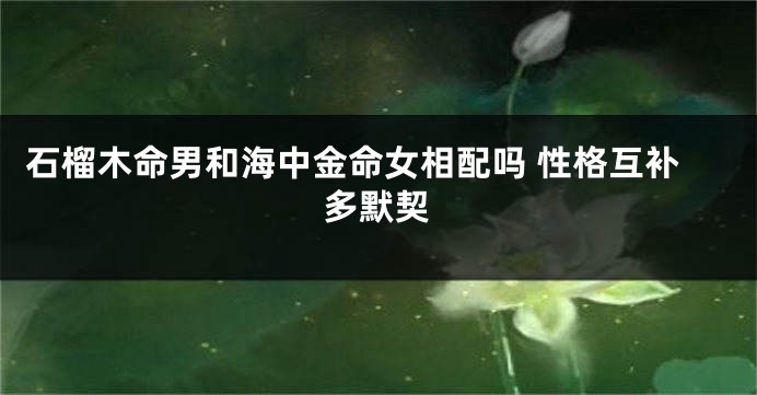 石榴木命男和海中金命女相配吗 性格互补多默契
