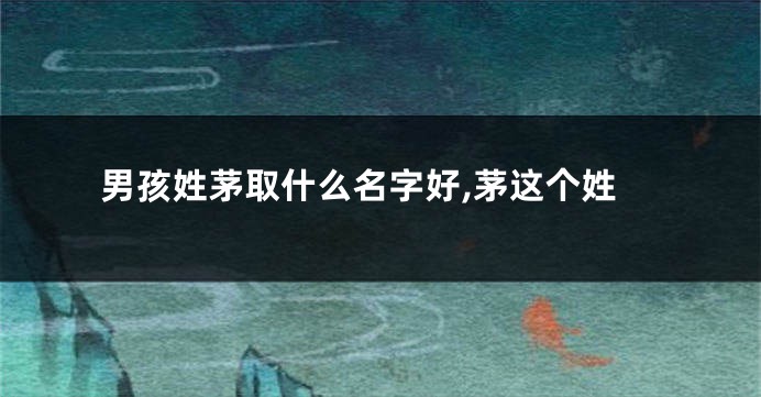 男孩姓茅取什么名字好,茅这个姓