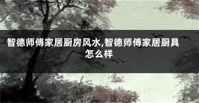 智德师傅家居厨房风水,智德师傅家居厨具怎么样