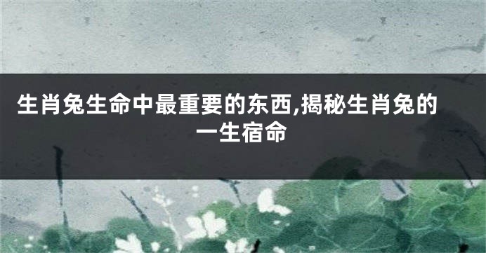 生肖兔生命中最重要的东西,揭秘生肖兔的一生宿命
