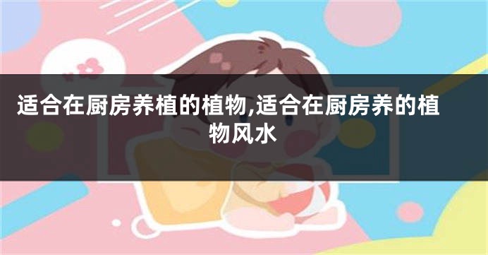 适合在厨房养植的植物,适合在厨房养的植物风水