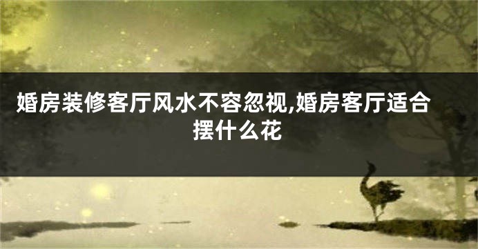 婚房装修客厅风水不容忽视,婚房客厅适合摆什么花