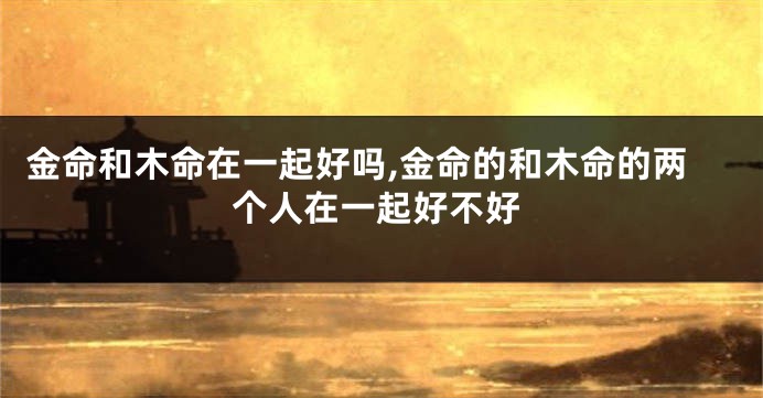 金命和木命在一起好吗,金命的和木命的两个人在一起好不好