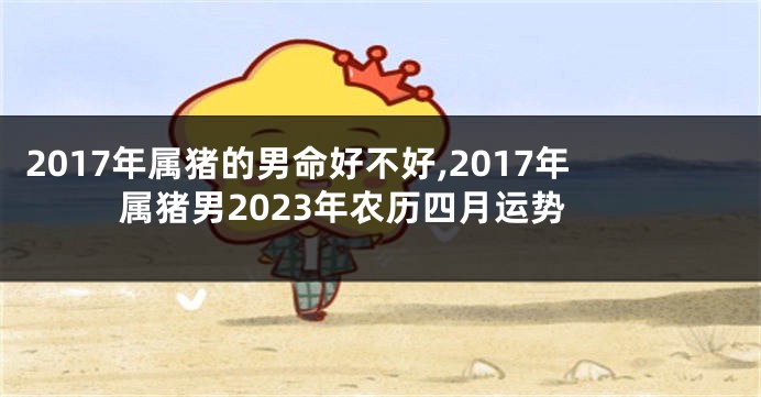 2017年属猪的男命好不好,2017年属猪男2023年农历四月运势
