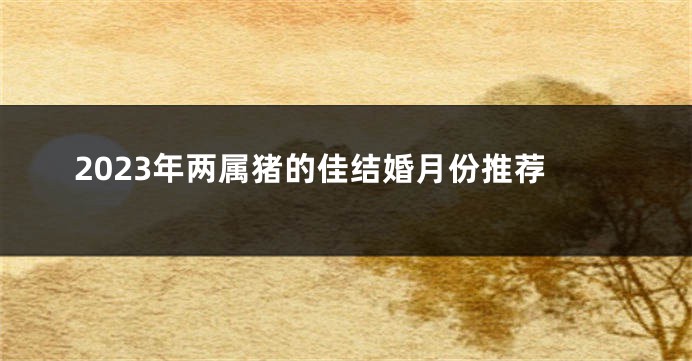 2023年两属猪的佳结婚月份推荐