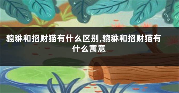 貔貅和招财猫有什么区别,貔貅和招财猫有什么寓意