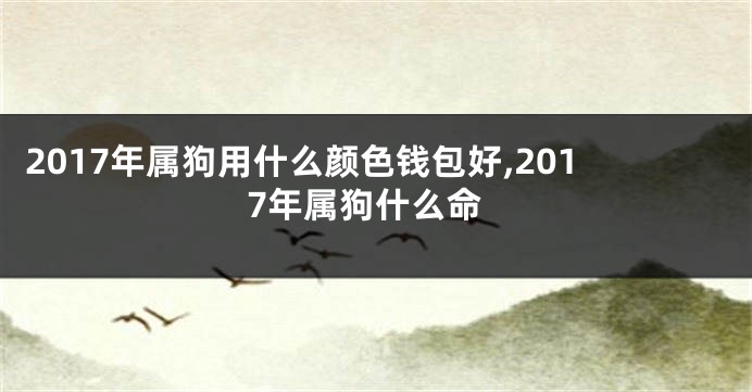 2017年属狗用什么颜色钱包好,2017年属狗什么命