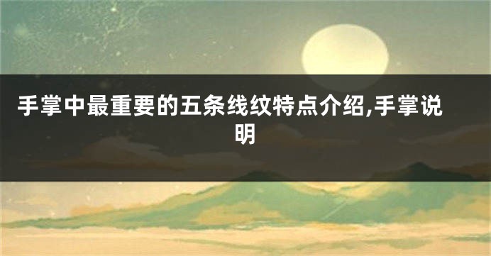 手掌中最重要的五条线纹特点介绍,手掌说明