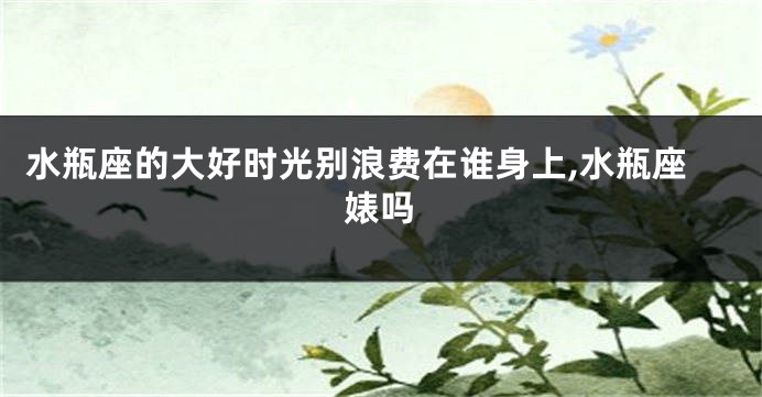 水瓶座的大好时光别浪费在谁身上,水瓶座婊吗