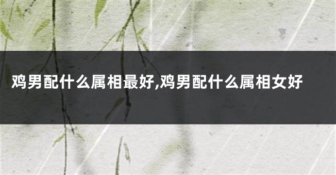 鸡男配什么属相最好,鸡男配什么属相女好