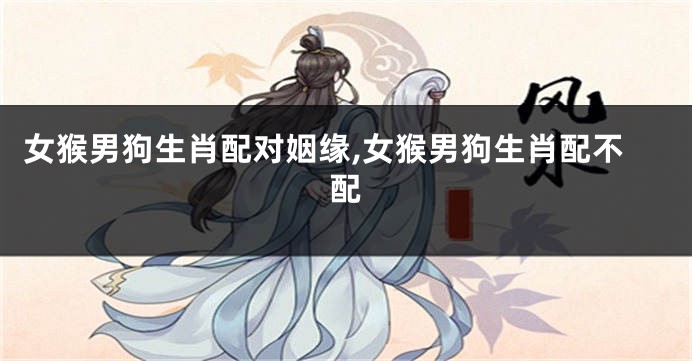 女猴男狗生肖配对姻缘,女猴男狗生肖配不配