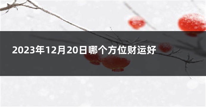 2023年12月20日哪个方位财运好
