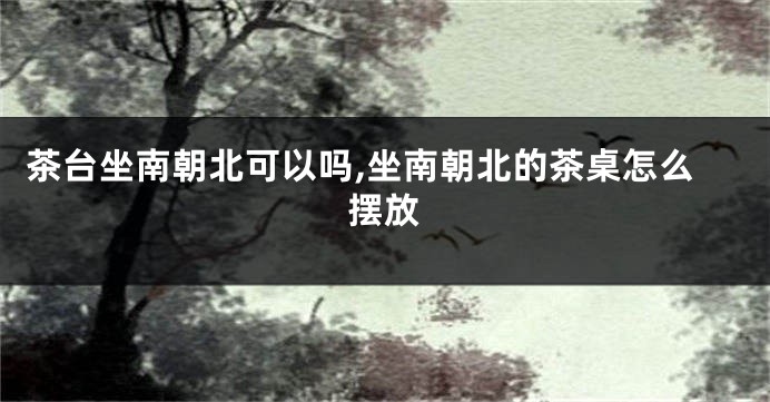 茶台坐南朝北可以吗,坐南朝北的茶桌怎么摆放