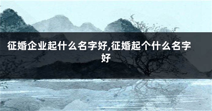 征婚企业起什么名字好,征婚起个什么名字好
