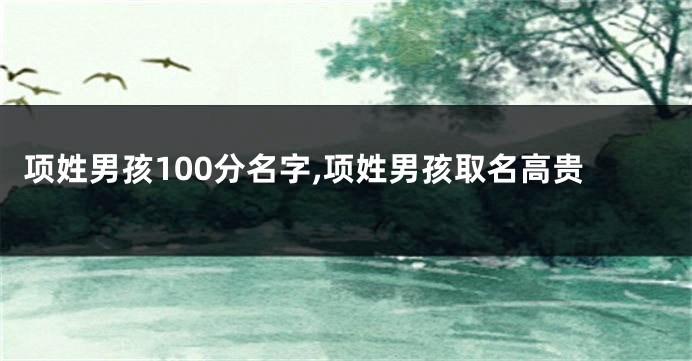 项姓男孩100分名字,项姓男孩取名高贵