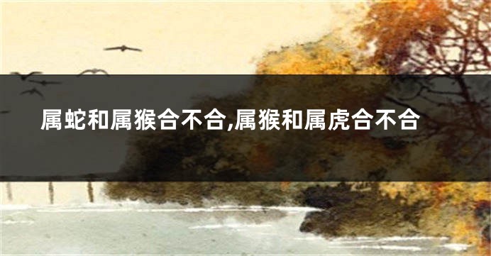 属蛇和属猴合不合,属猴和属虎合不合