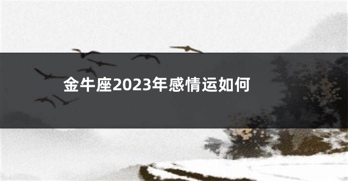金牛座2023年感情运如何