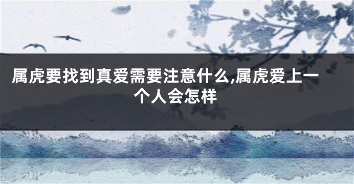 属虎要找到真爱需要注意什么,属虎爱上一个人会怎样