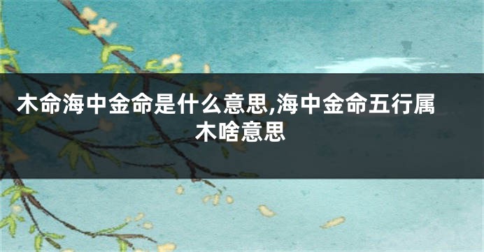木命海中金命是什么意思,海中金命五行属木啥意思