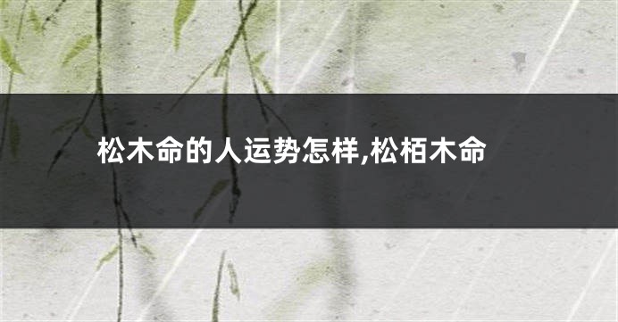 松木命的人运势怎样,松栢木命