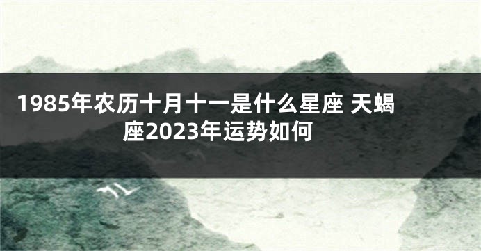 1985年农历十月十一是什么星座 天蝎座2023年运势如何