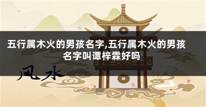 五行属木火的男孩名字,五行属木火的男孩名字叫谭梓霖好吗