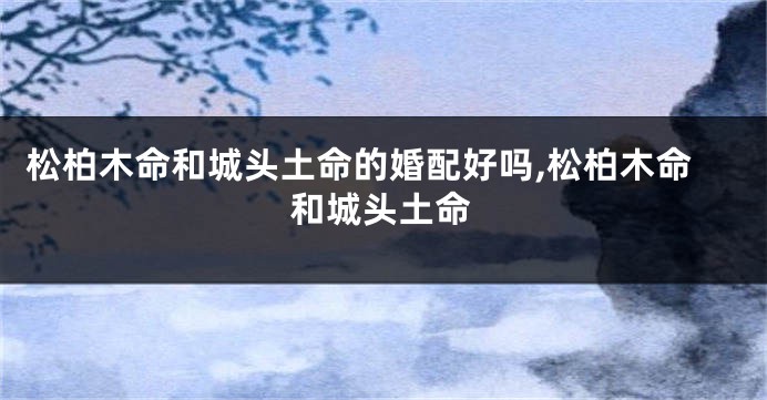 松柏木命和城头土命的婚配好吗,松柏木命和城头土命