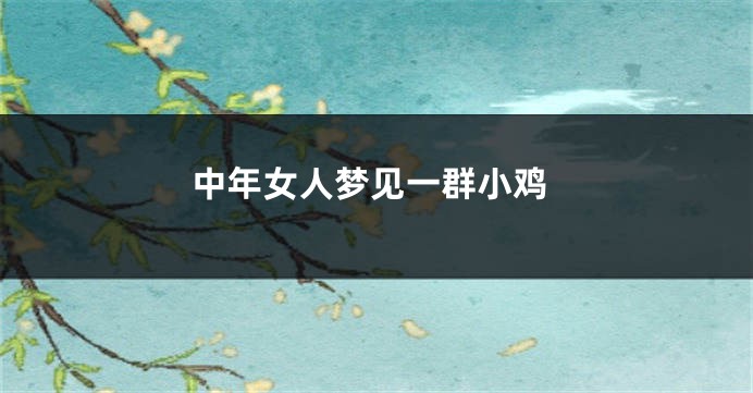 中年女人梦见一群小鸡