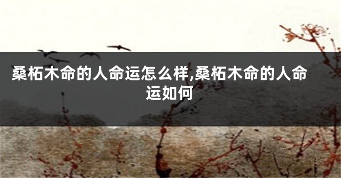 桑柘木命的人命运怎么样,桑柘木命的人命运如何