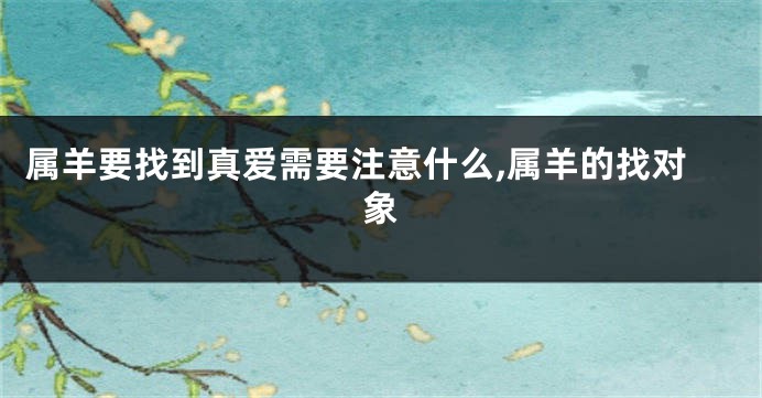 属羊要找到真爱需要注意什么,属羊的找对象