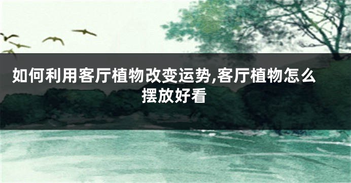 如何利用客厅植物改变运势,客厅植物怎么摆放好看