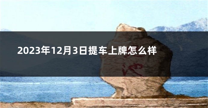 2023年12月3日提车上牌怎么样