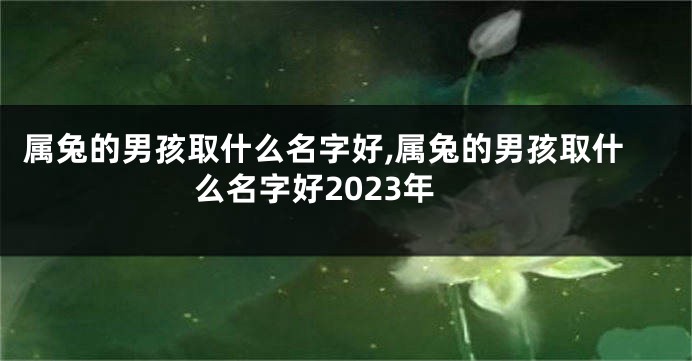 属兔的男孩取什么名字好,属兔的男孩取什么名字好2023年
