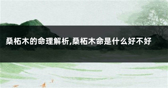 桑柘木的命理解析,桑柘木命是什么好不好
