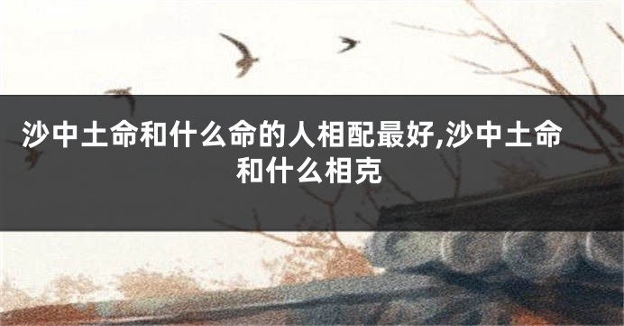 沙中土命和什么命的人相配最好,沙中土命和什么相克
