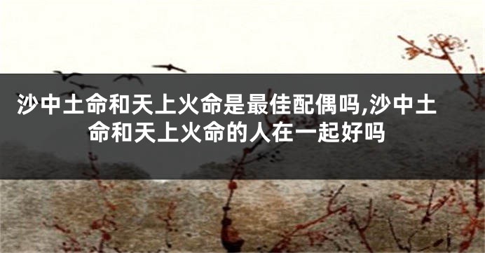 沙中土命和天上火命是最佳配偶吗,沙中土命和天上火命的人在一起好吗