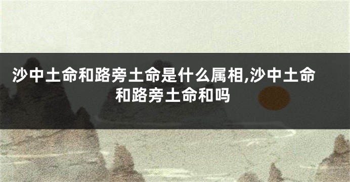 沙中土命和路旁土命是什么属相,沙中土命和路旁土命和吗