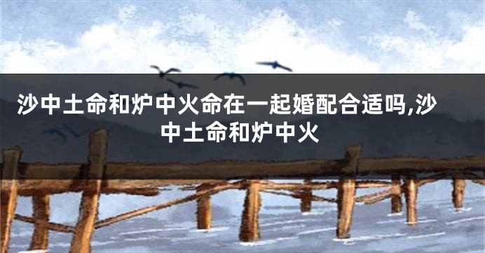 沙中土命和炉中火命在一起婚配合适吗,沙中土命和炉中火