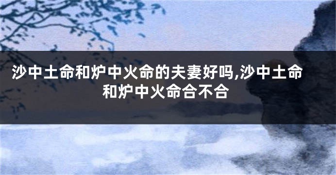 沙中土命和炉中火命的夫妻好吗,沙中土命和炉中火命合不合