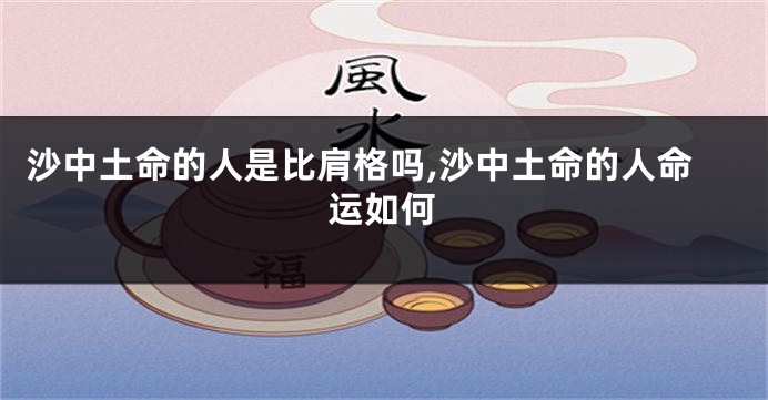 沙中土命的人是比肩格吗,沙中土命的人命运如何