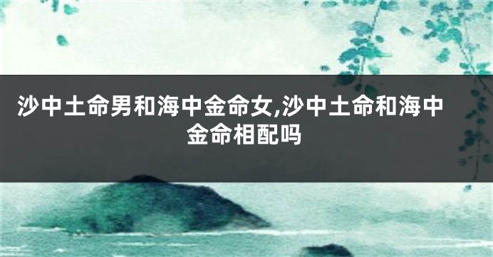 沙中土命男和海中金命女,沙中土命和海中金命相配吗