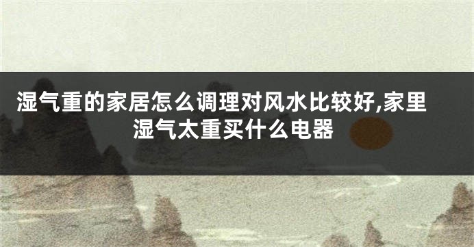 湿气重的家居怎么调理对风水比较好,家里湿气太重买什么电器
