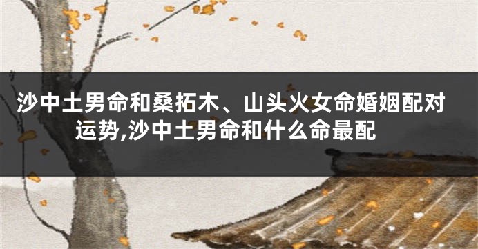 沙中土男命和桑拓木、山头火女命婚姻配对运势,沙中土男命和什么命最配